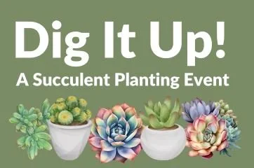 Dig It Up: A Succulent Planting Event - Meadville Public Library