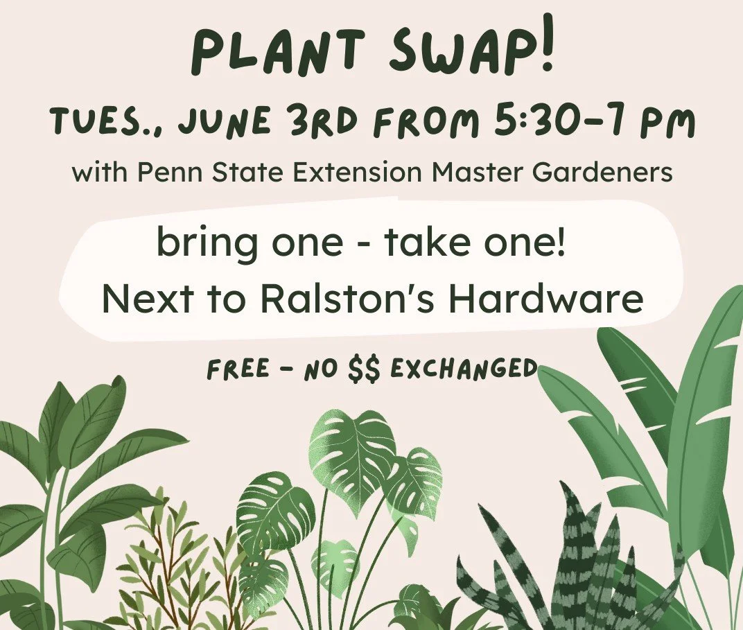 Plant Swap - Margaret Shontz Memorial Library