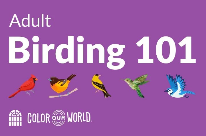 Family Bird Walk - Meadville Public Library