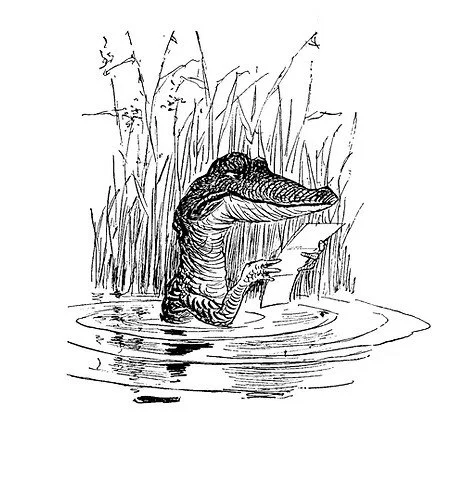 Allegheny College Alumni Show - Presented By Hatch Hollow