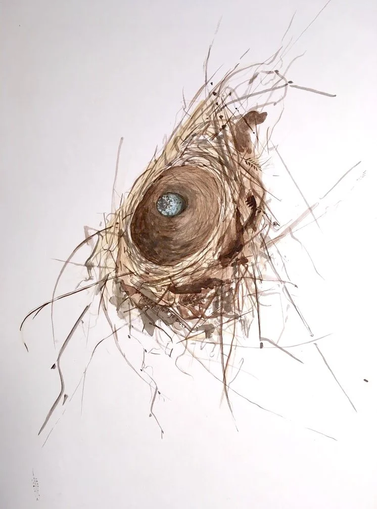 Solo Nest.jpg