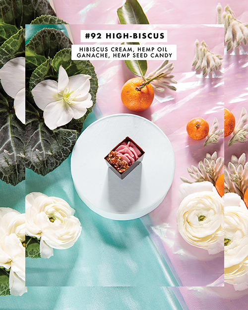 BLOG_92.highbiscus.png