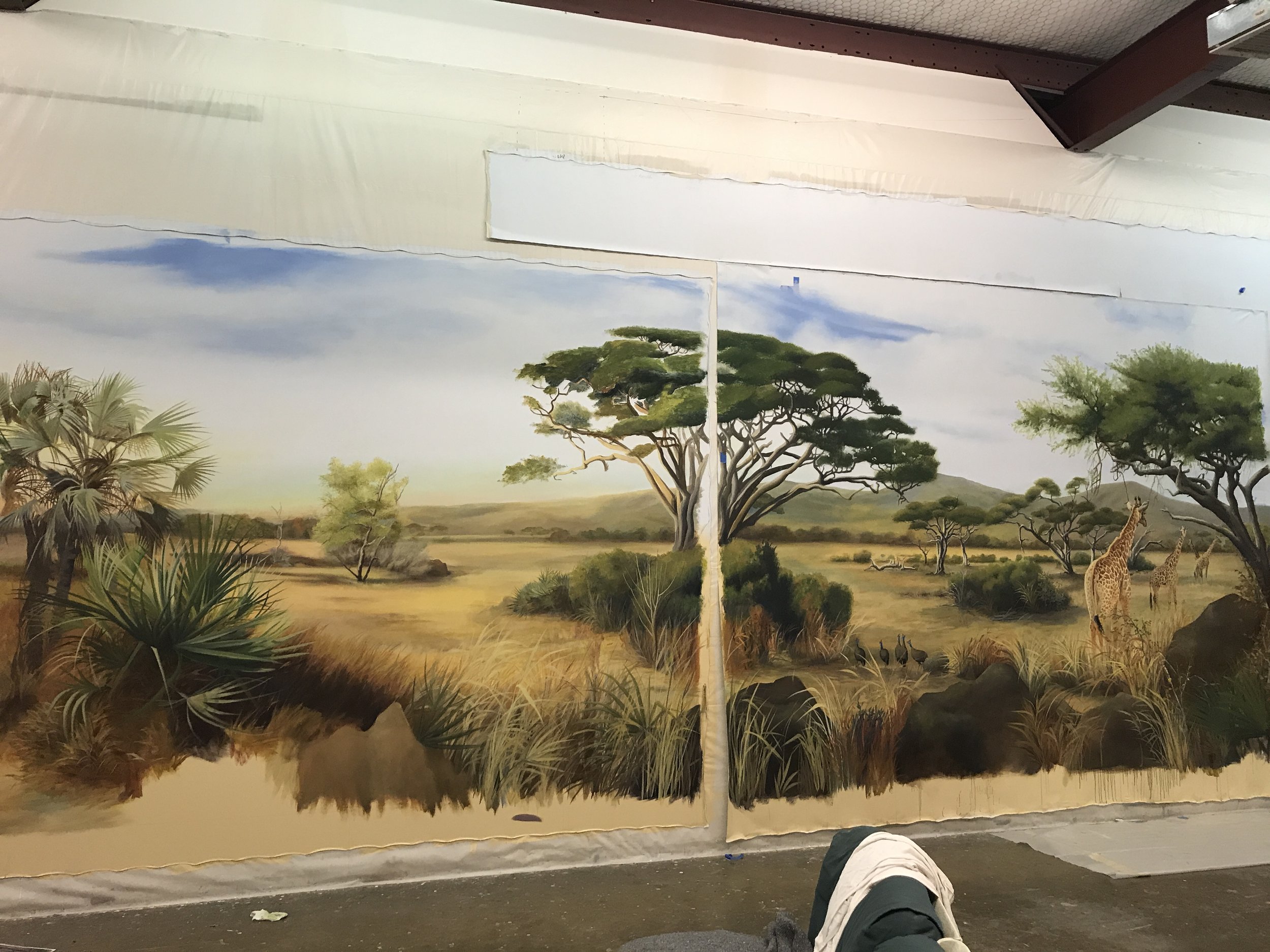 JAS Ranch Trophy Room mural in progress at studio 2020