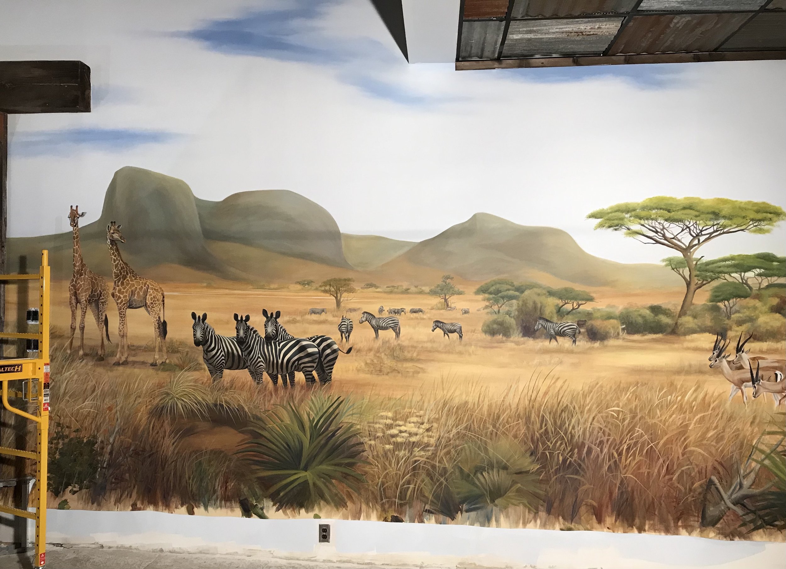 JAS Ranch Trophy Room mural installation 2020