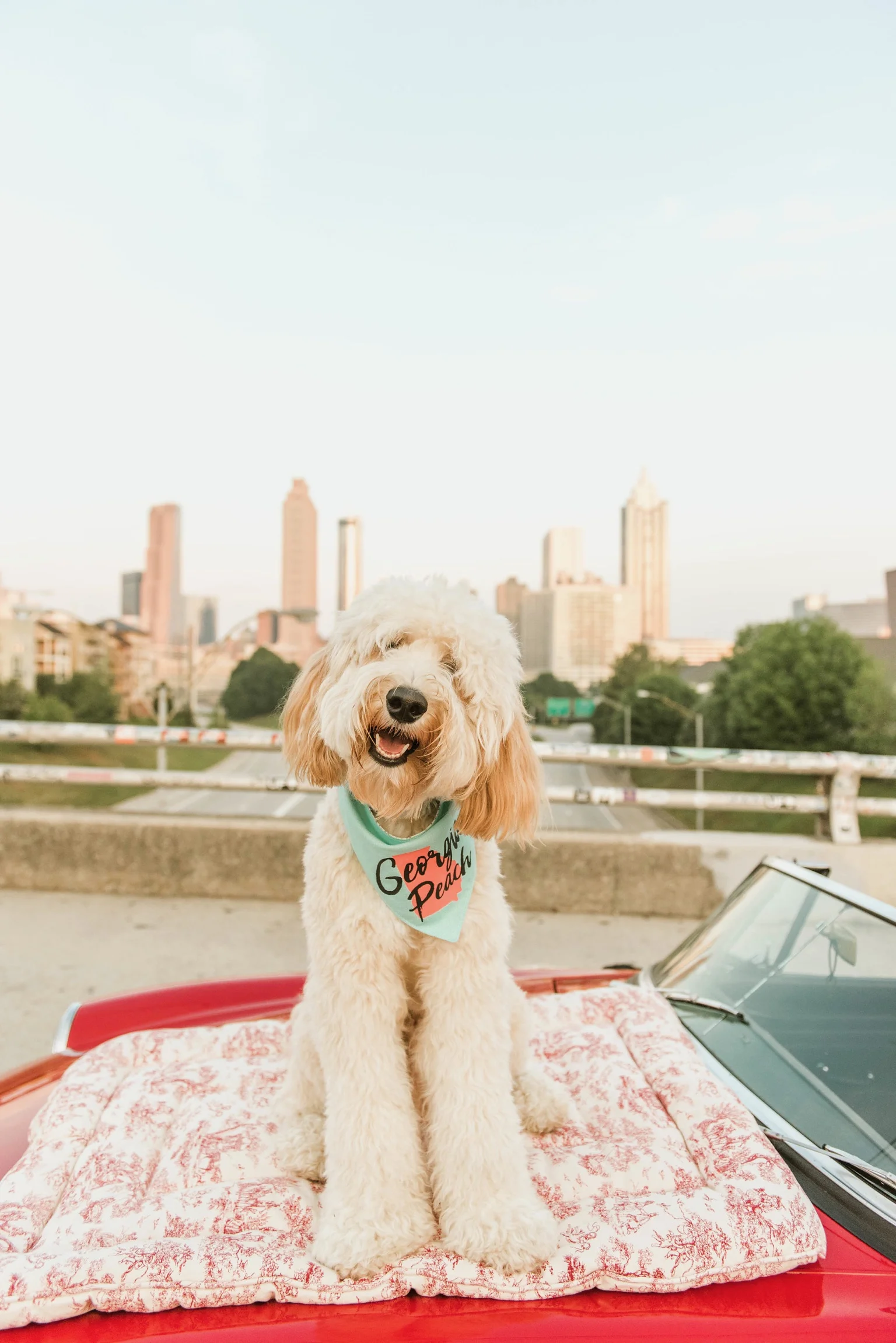 ShelbyRaePhotographs-10.jpg