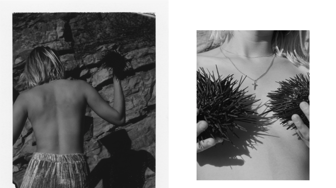 Photographer: Mara Corsino 