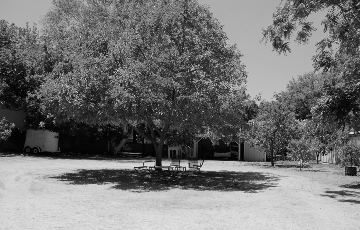 12087664_1622597198003356_8122539280942095095_o 2.png