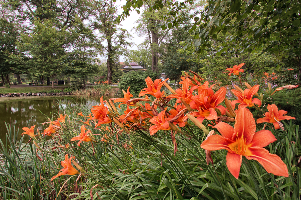 Stroll the Gardens