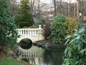 bridge-1.jpg