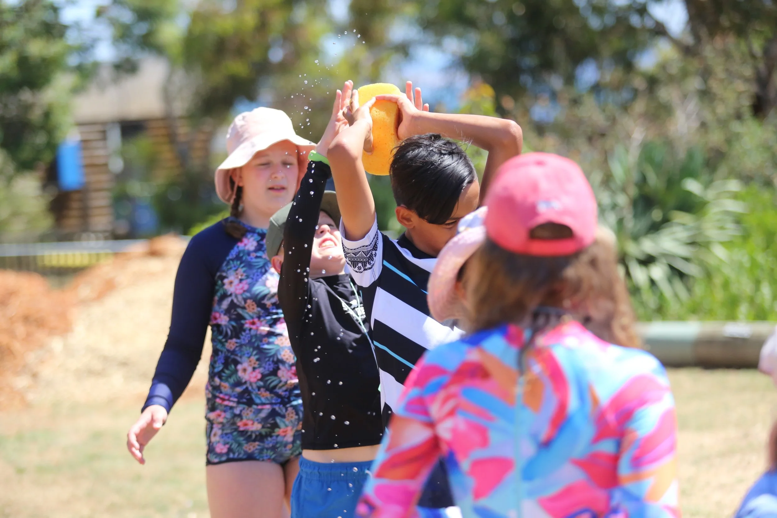 burst-anglican-camping-tasmania