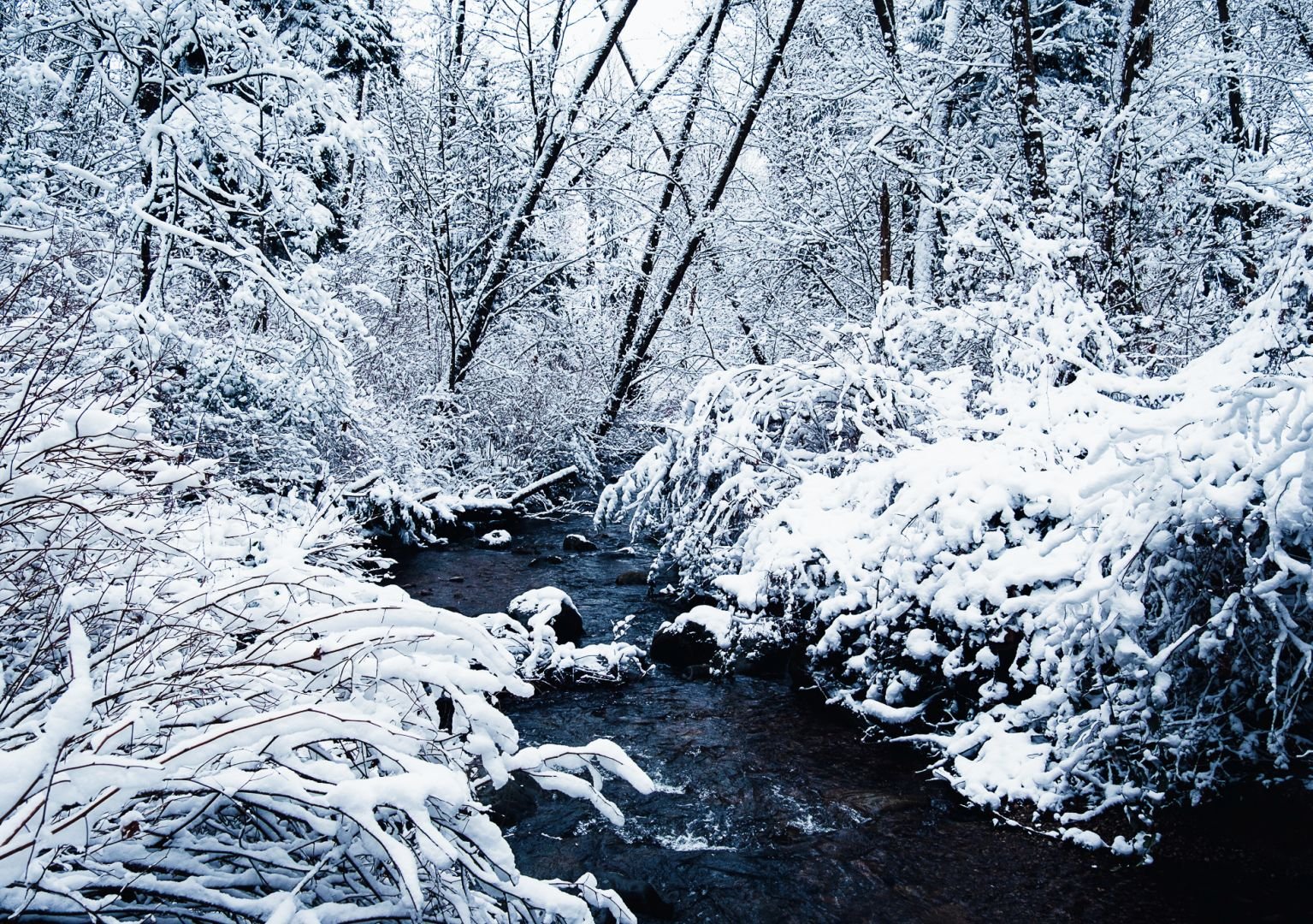 Snowy Wagg Creek