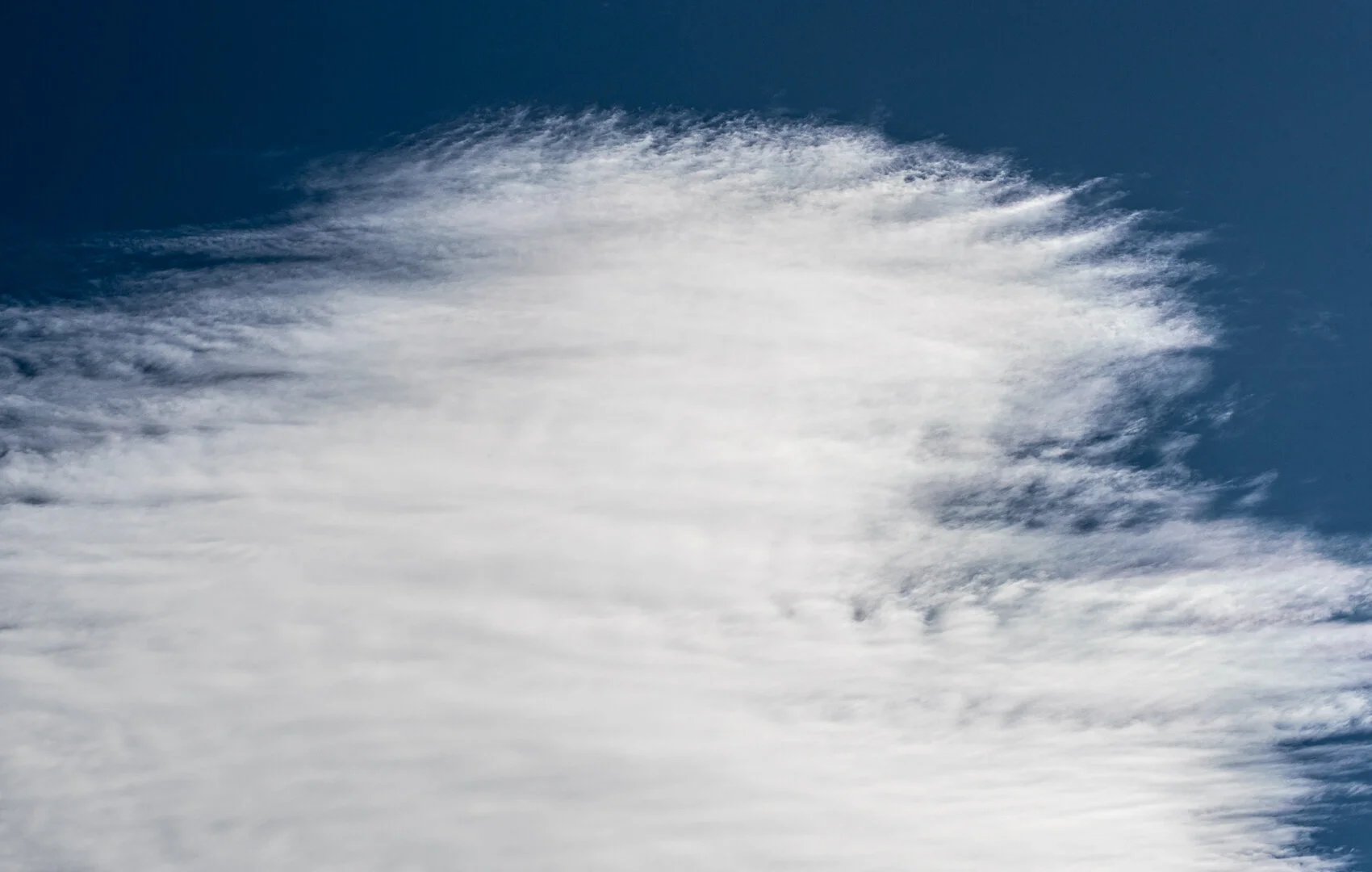 30th March 2020 3:54 pm. Great texture.