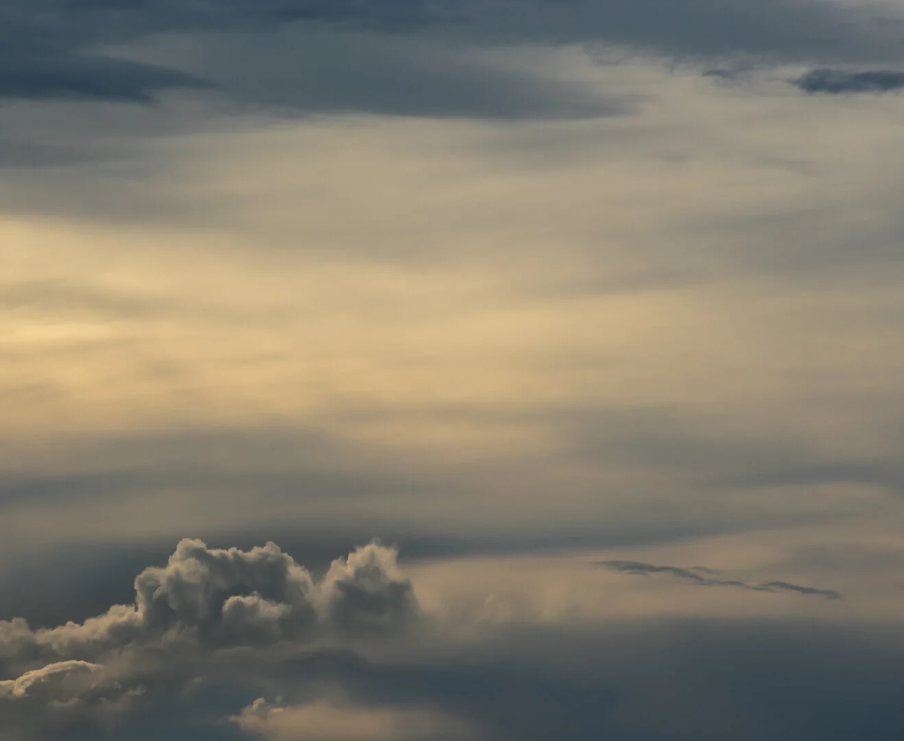 19th May 2020  2:26 pm