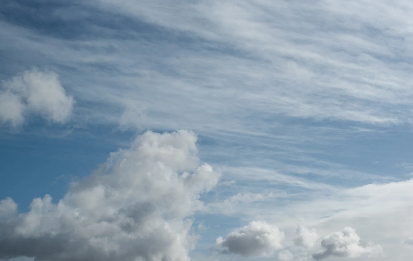 21st May 2020  11:06 am