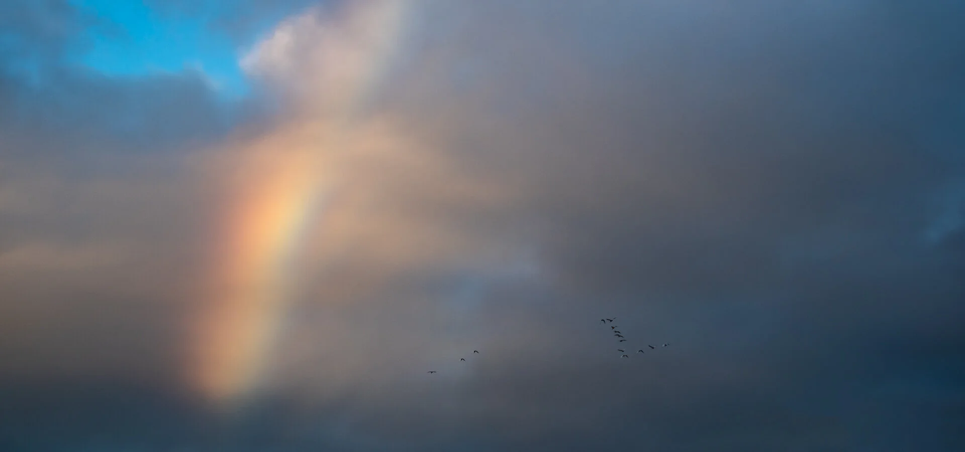24th May 2020  7:42 am