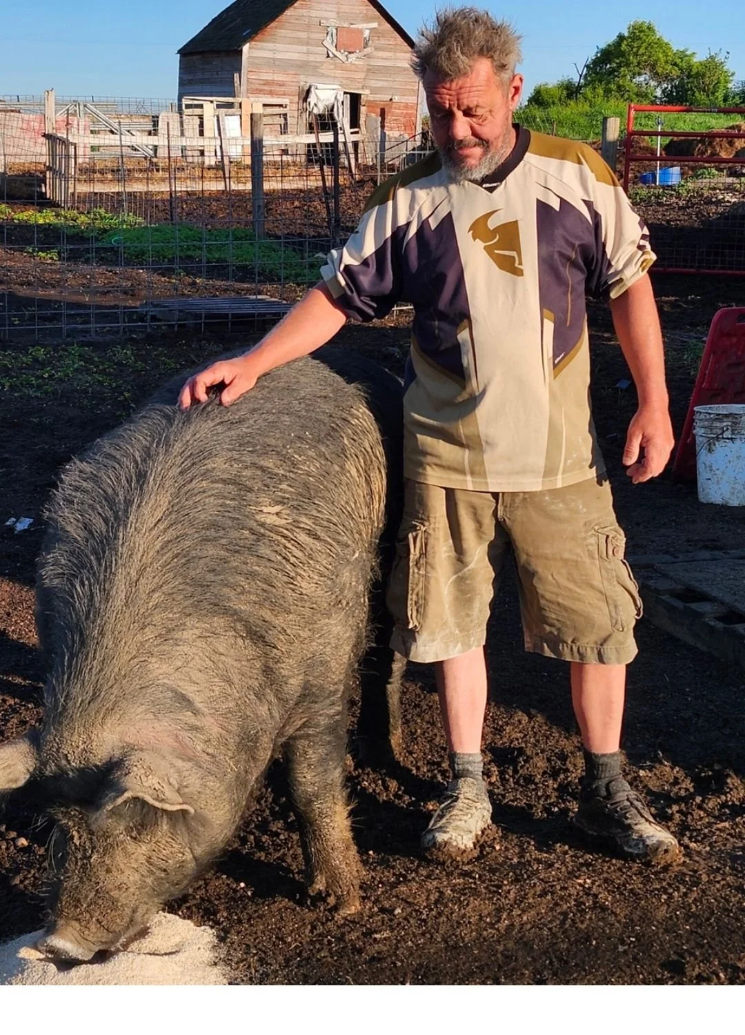 Carl standing beside a 700lb mature berkshire boar at Cobblestone Farm to show it's massive size.
