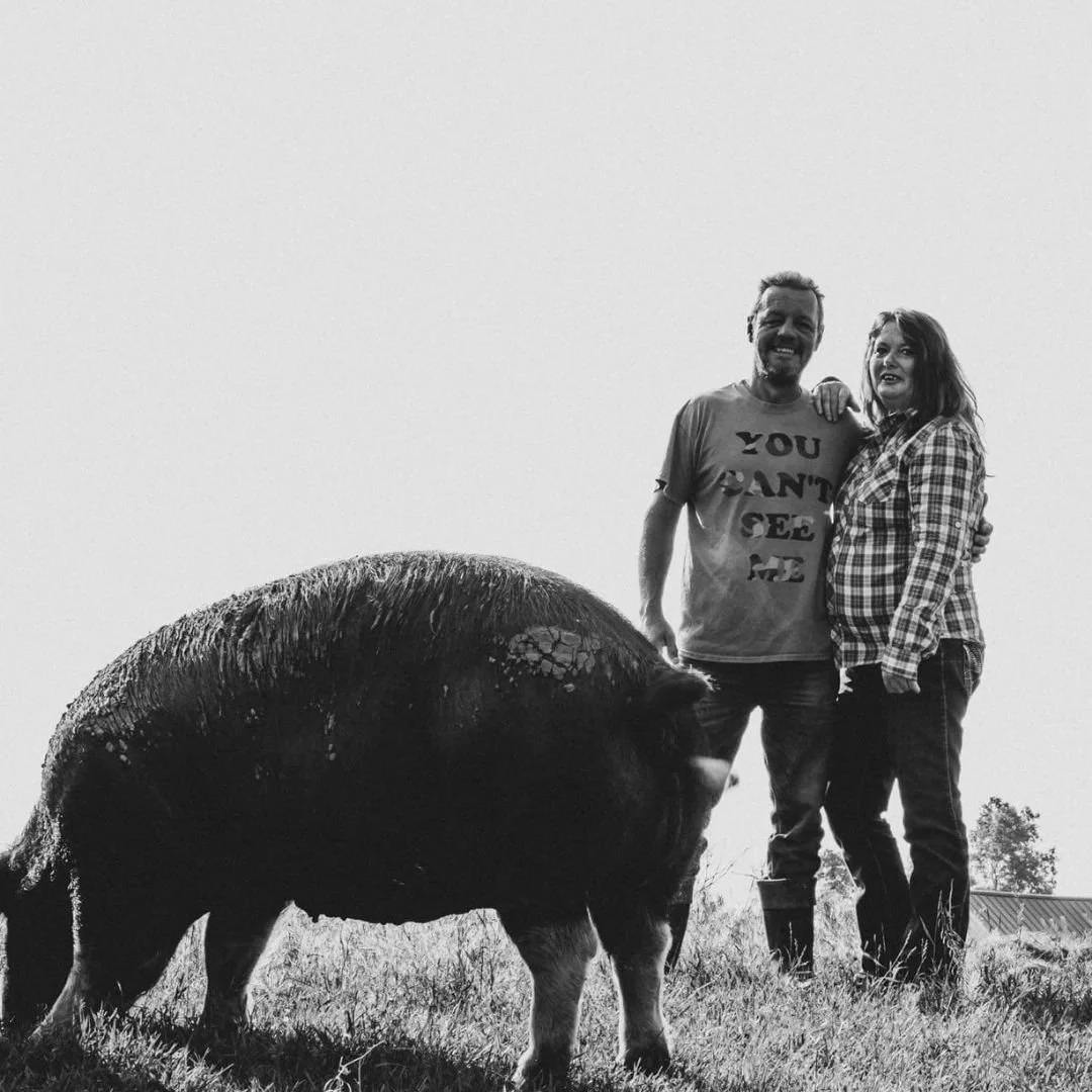 Carl and Joanna  in a field at Cobblestone Farm with one of their Berkshire pigs