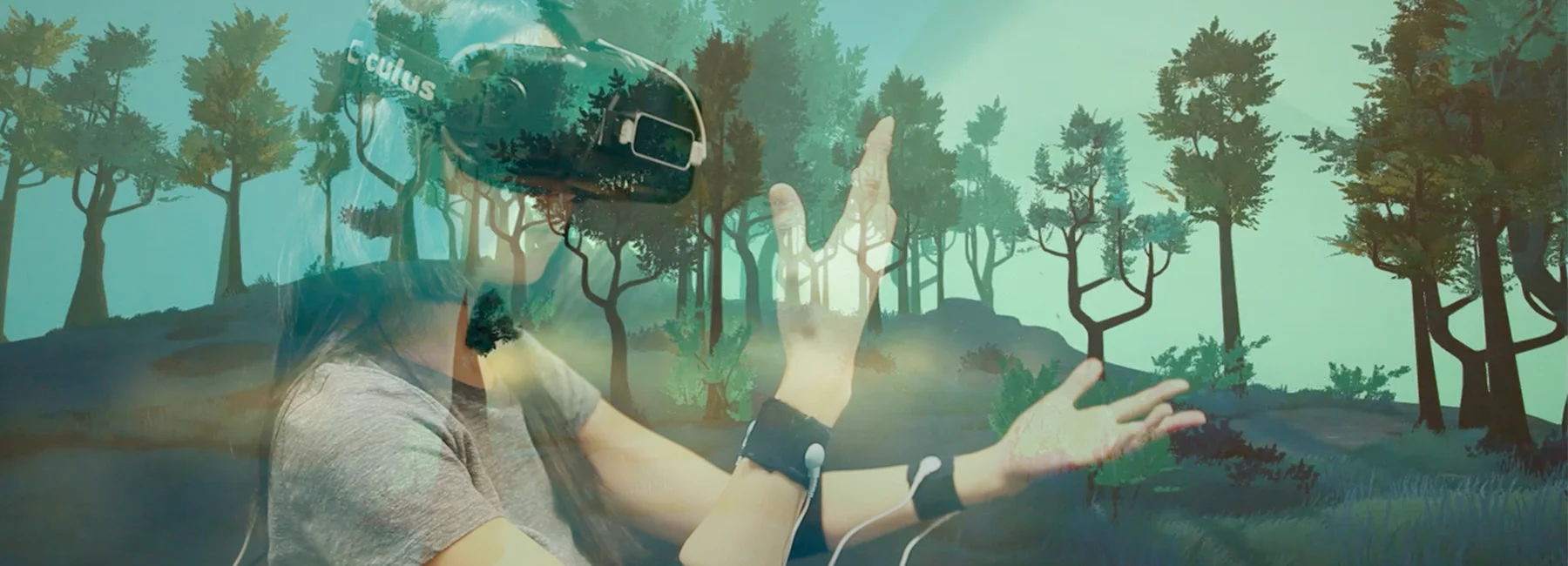 TreeSense: experiencer and the inside view.