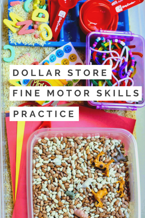 Dollar Store Fine Motor Skills Practice- Stay At Home Momming- Fine Motor Skills Practice.png