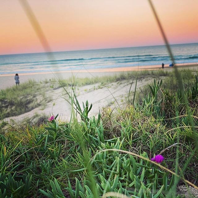 WINTER BEACH SUNSET #pamellis #pamellisinternational #sunsetsofinstagram #mermaidbeach #beachsunset #thisiswinter
