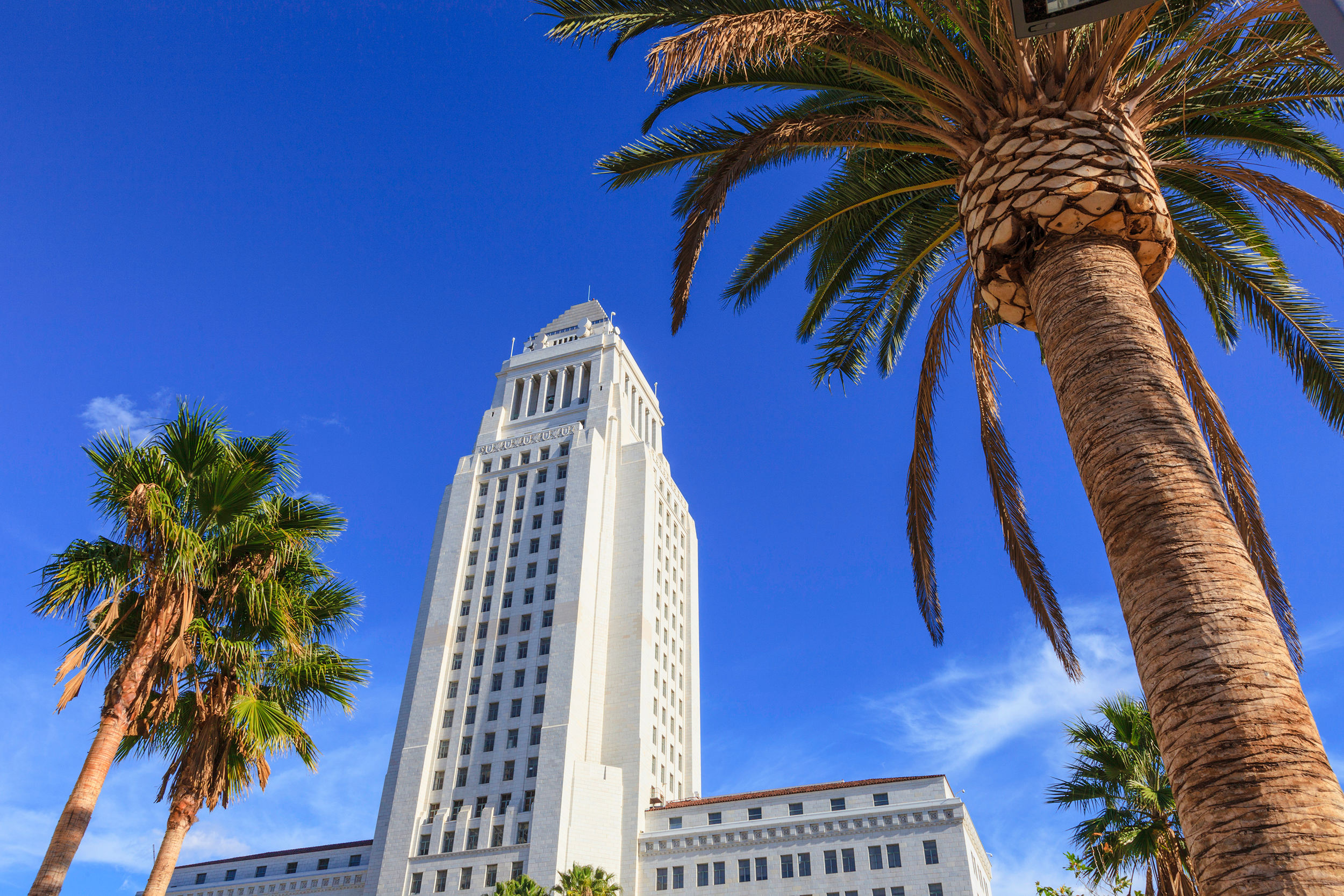 Garrison-Public-Strategies-LA-City-Hall.jpg