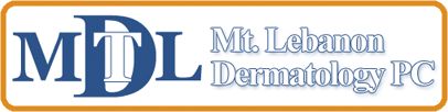 E9D19C54-739A_mt-lebanon-logo.png