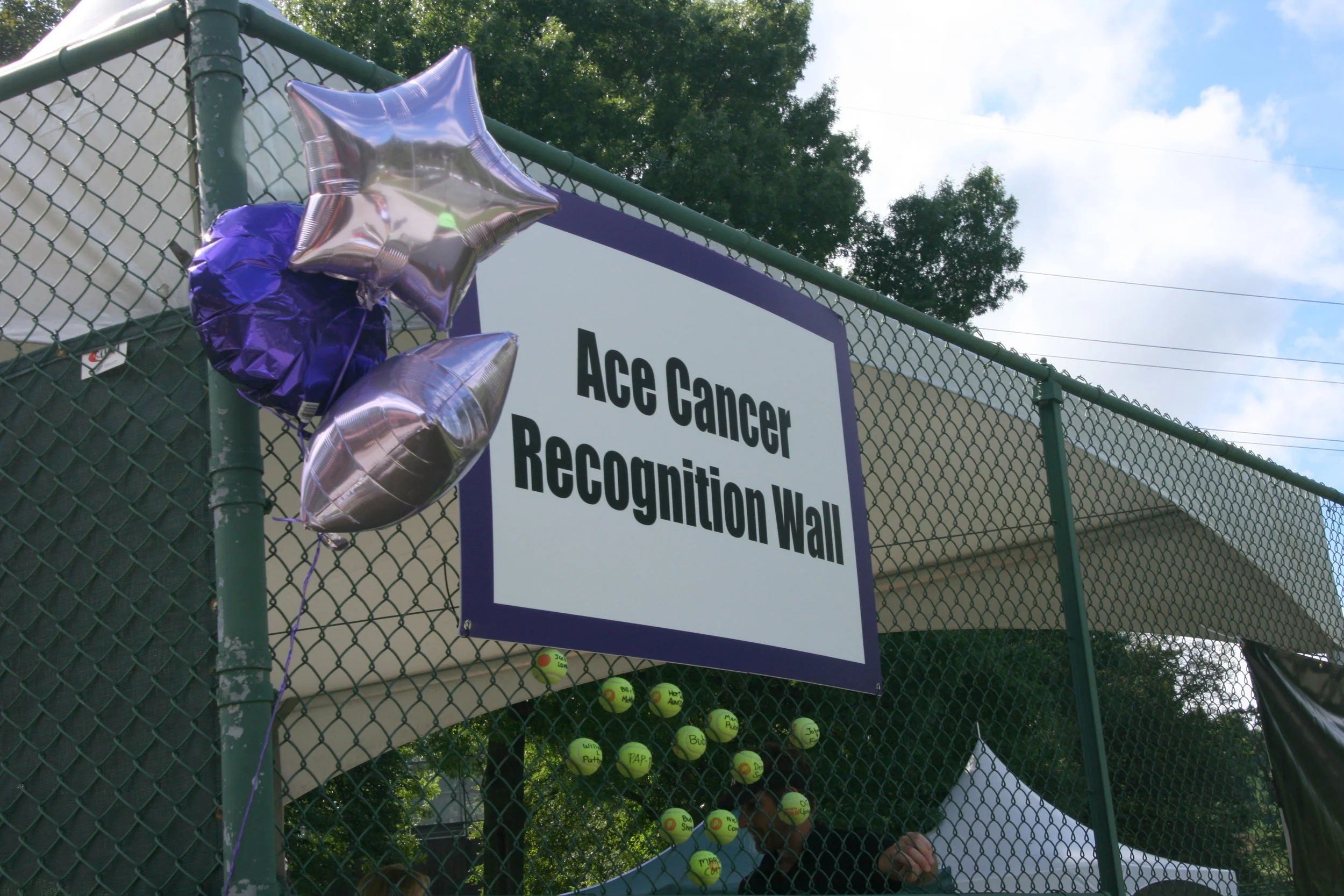 Ace Cancer Recognition Ball