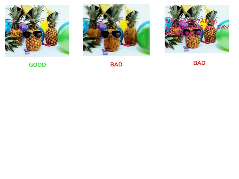 Image Guidelines.jpg