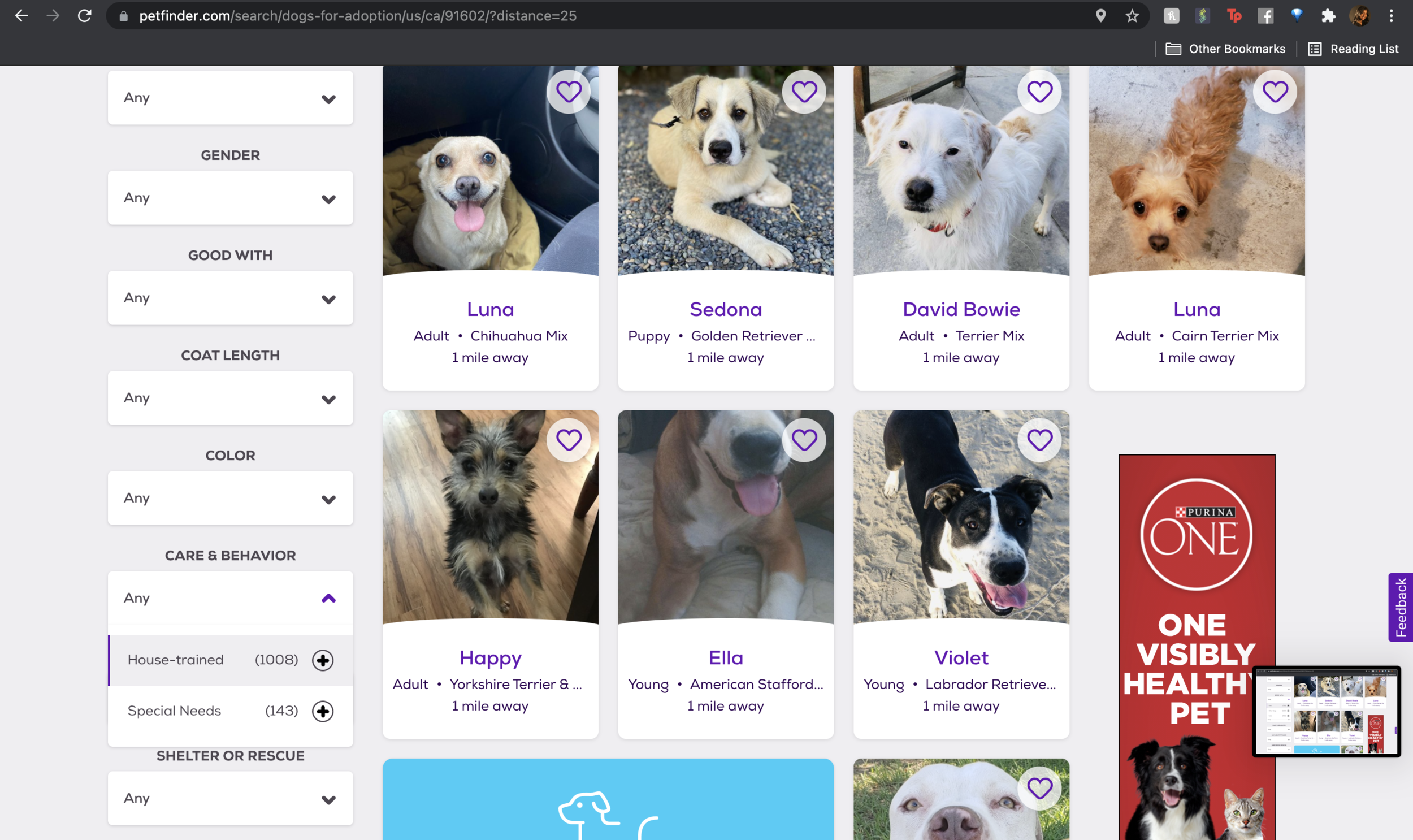 App Adopt A Dog Petfinder Petfinder Dog Adoption Websites