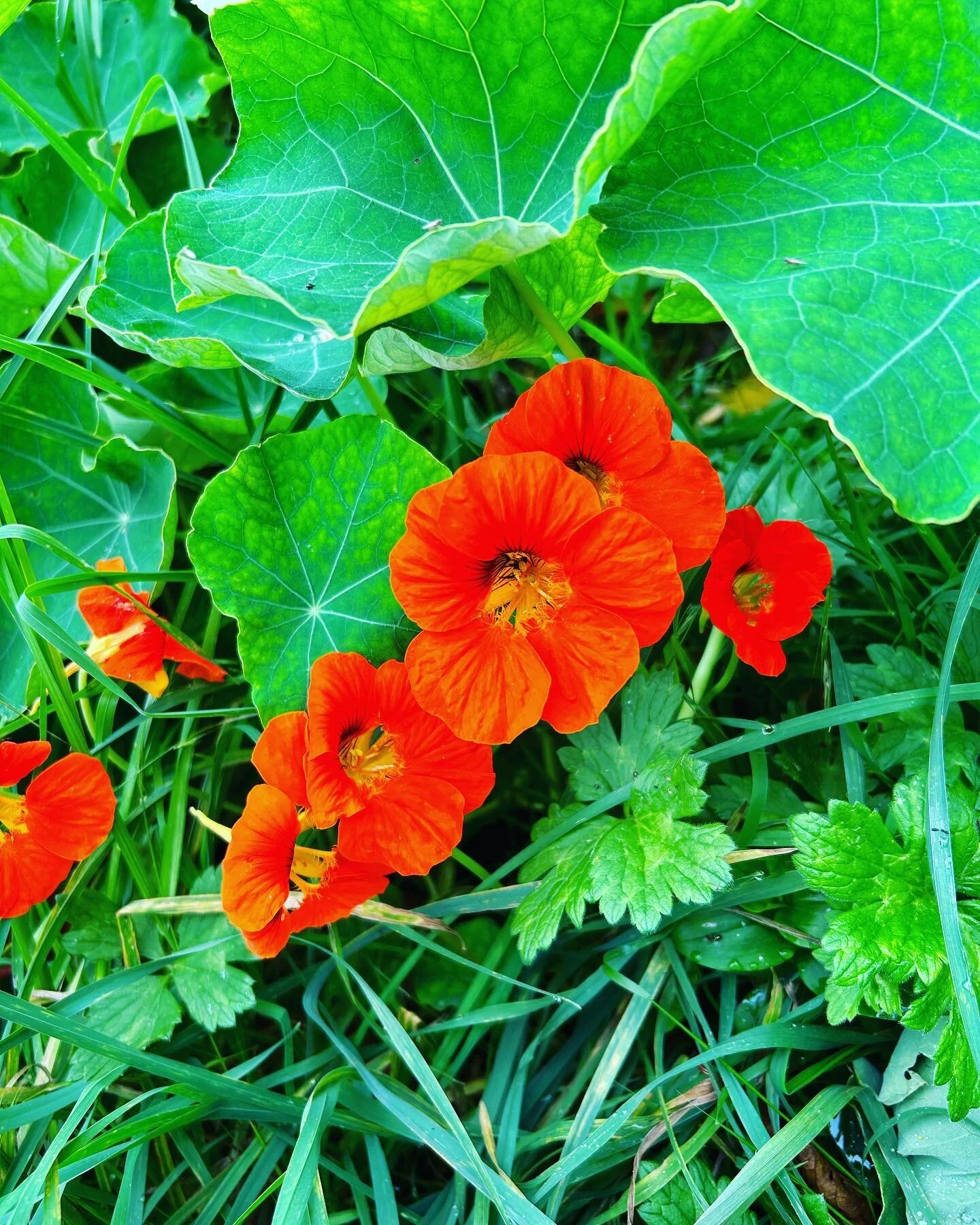 Good morning, come on in and have a nice and warm coffee for the day!!! To feel fresh relaxed!!