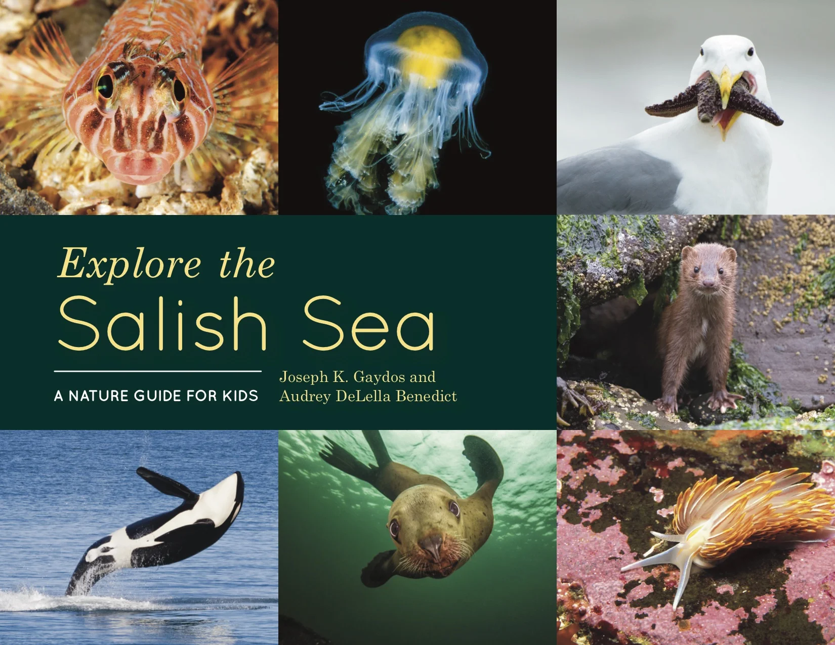 Written by SeaDoc Society Science Director Joe Gaydos and Board member, Audrey Benedict.