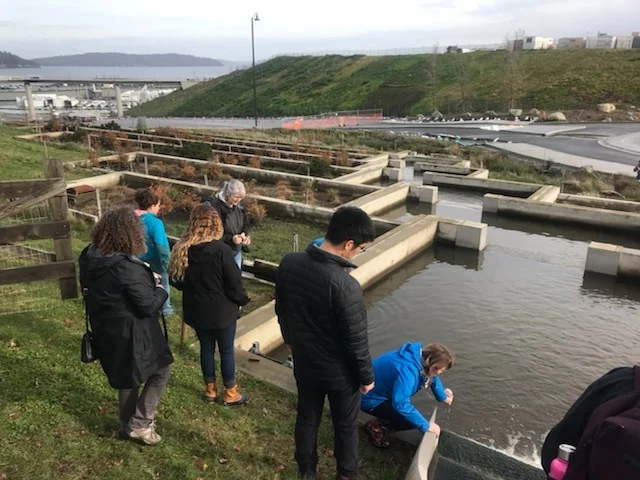 SeaDoc Educator Workshop participants sampling inlet to Metro Parks Tacoma stormwater filtration system to test water quality before and after filtration. Photo by Jess Newley.