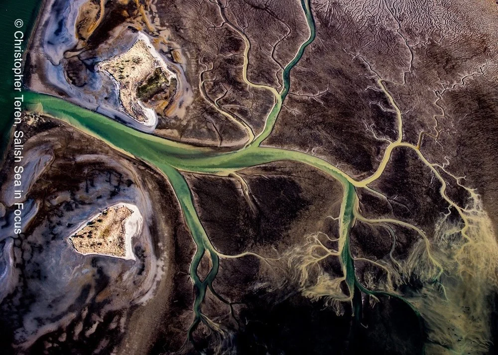 By Christopher Teren, Salish Sea in Focus