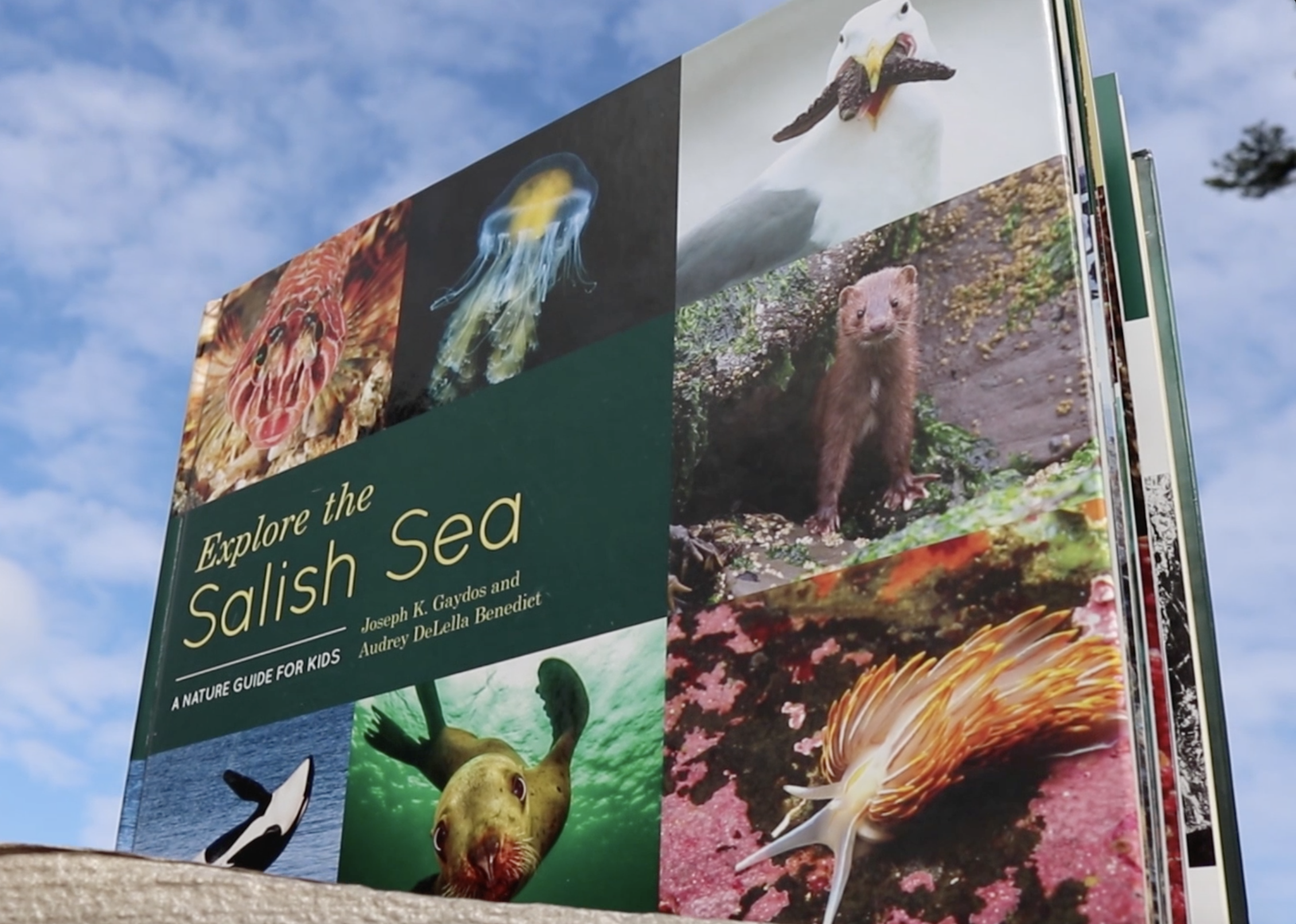 Adventure-filled, NGSS-aligned units to build ocean literacy in your students and communities, based on the Nautilus Award-winning book, Explore the Salish Sea A Nature Guide for Kids . Find the book here.