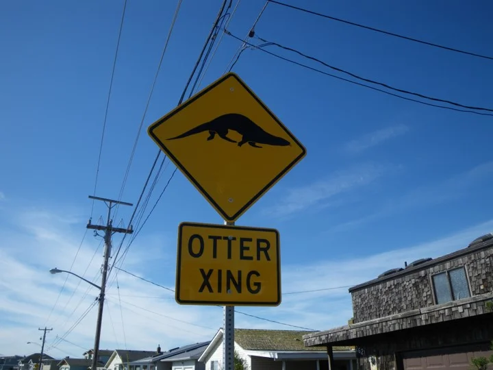 otterXing.jpg