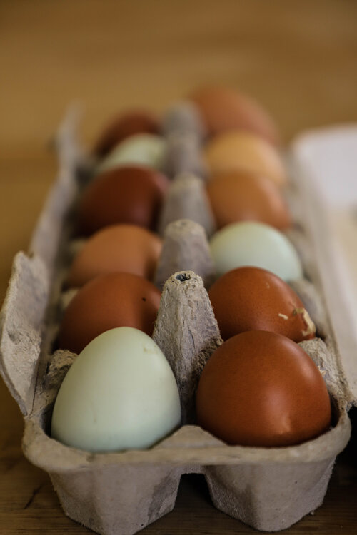 Natural Dyed Eggs-3.jpg