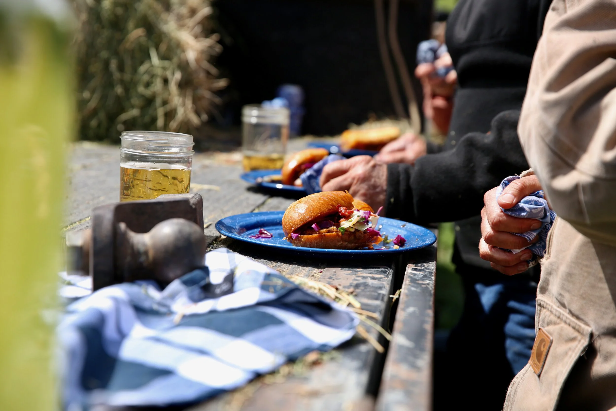 Ranch To Table cut down - 168 of 488.jpeg