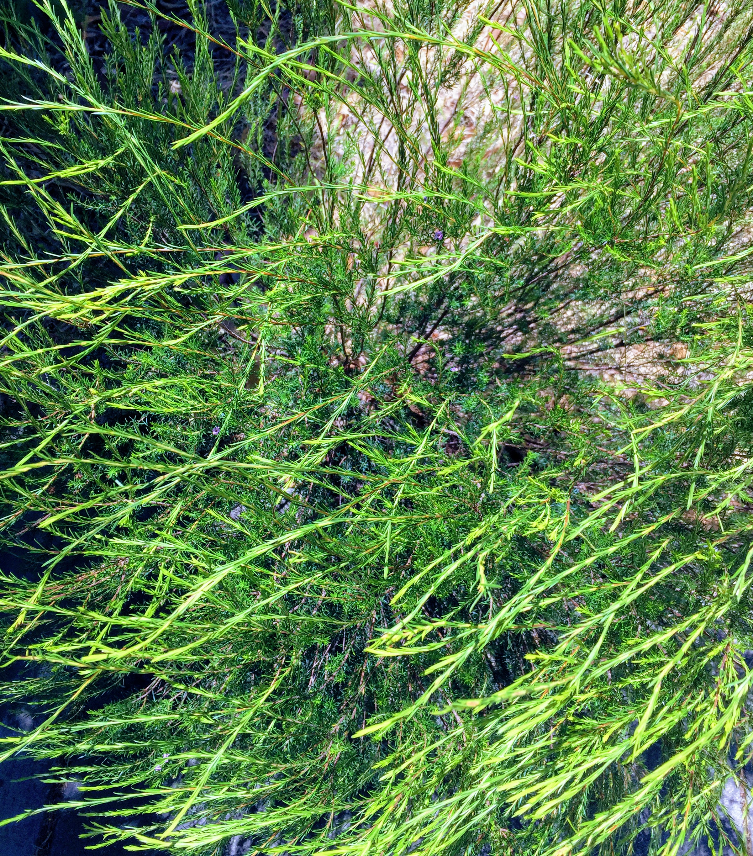 The Side Effects Series: Falling Out