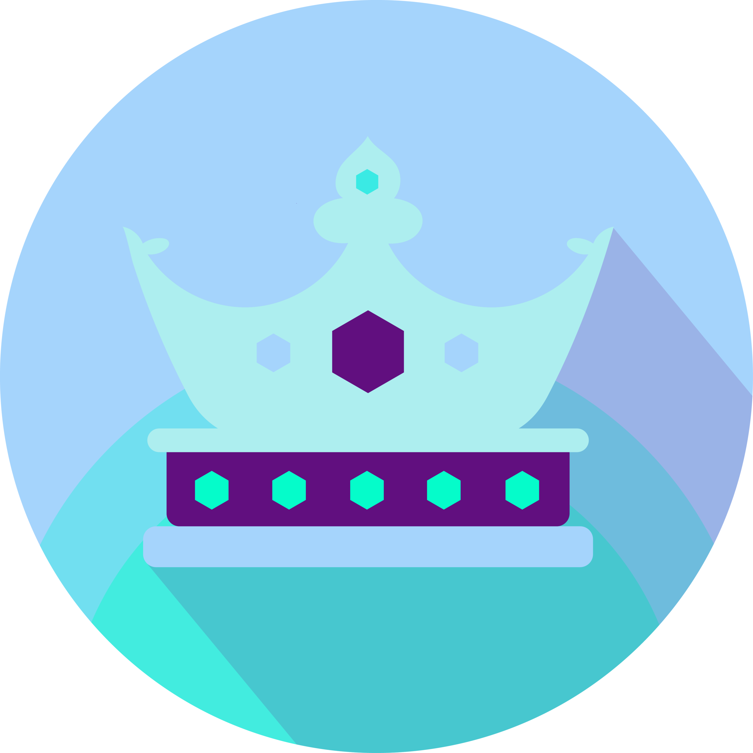 Royalty Icon Transparent.png
