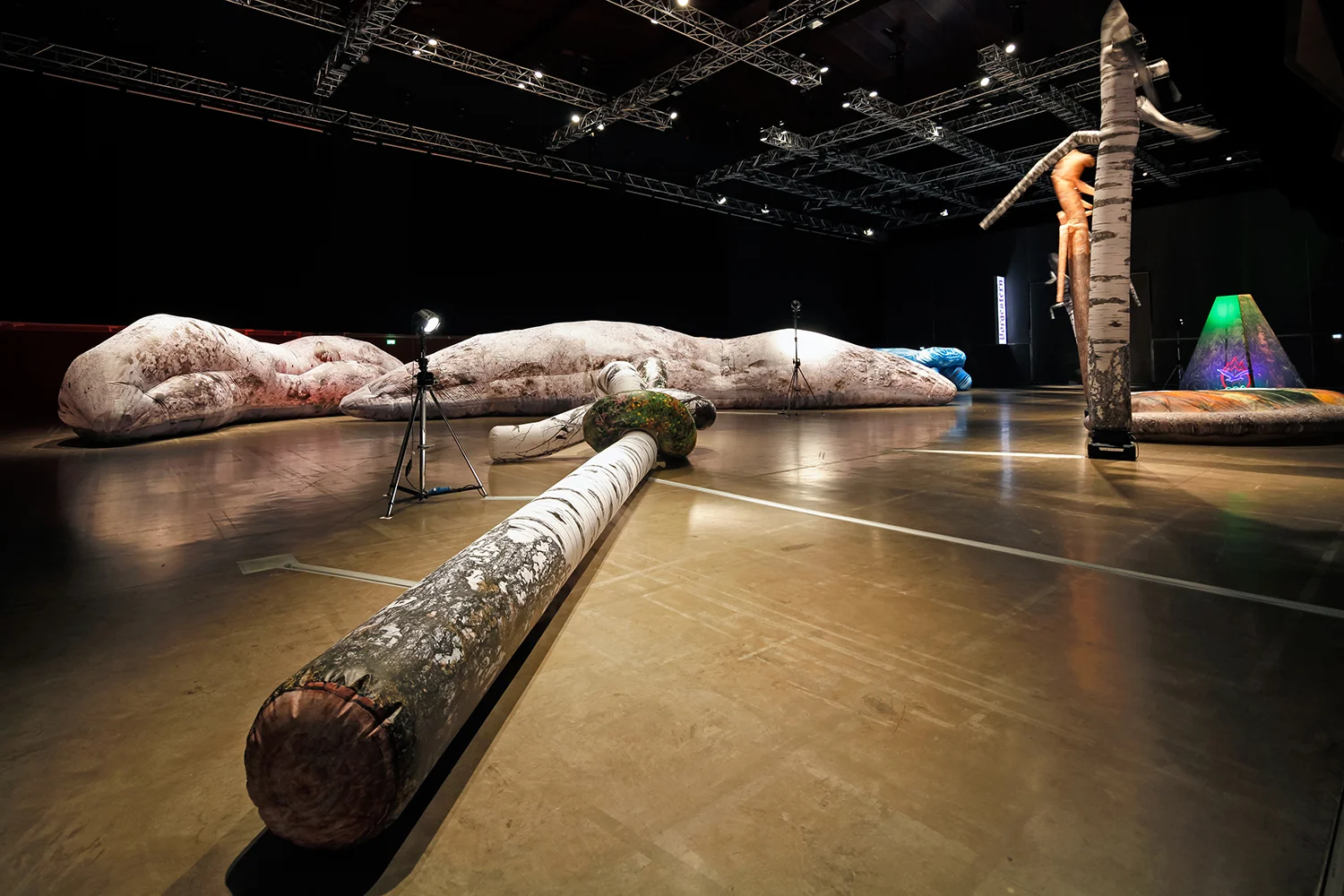 Yesterday's snow_Exhibition view_Ph. Liz Eve, courtesy Steirischer Herbst festival_13.jpg