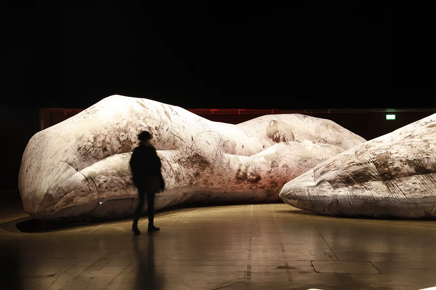 Yesterday's snow_Expozition view_with people_Ph. Liz Eve, courtesy Steirischer Herbst festival_45.jpg
