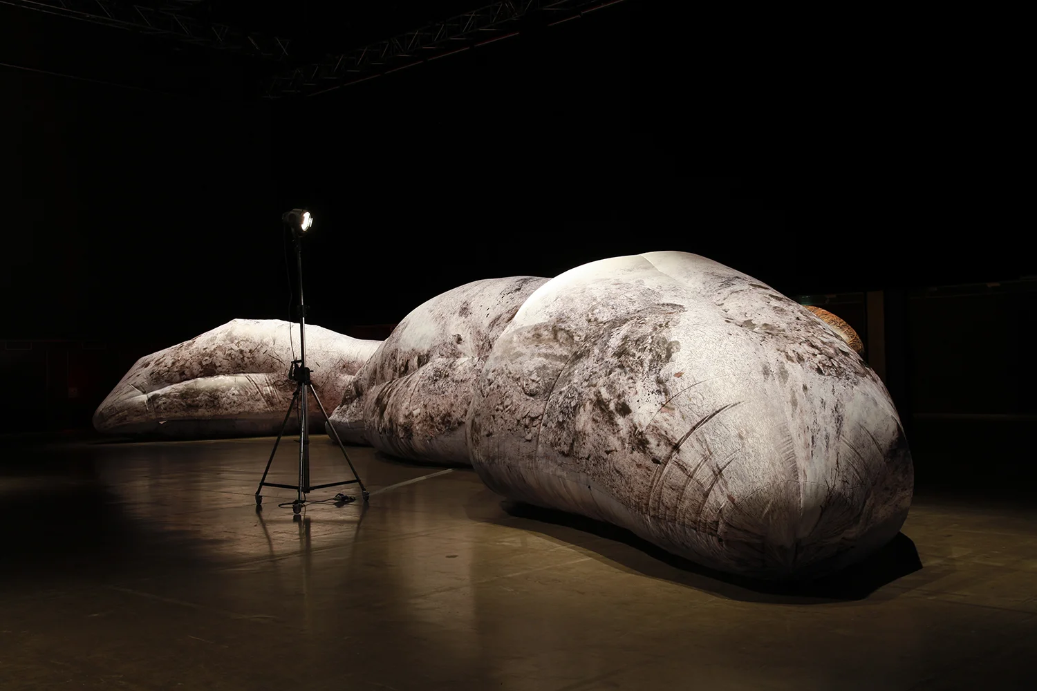 Yesterday's snow_Expozition view_with people_Ph. Liz Eve, courtesy Steirischer Herbst festival_47.jpg