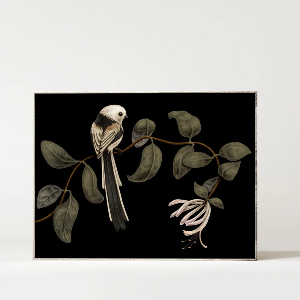 Long-Tailed Tit on Honeysuckle dark Print web.jpg