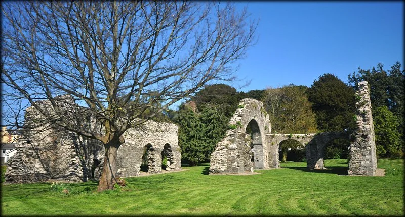 Wicklow Abbey 001L.jpg