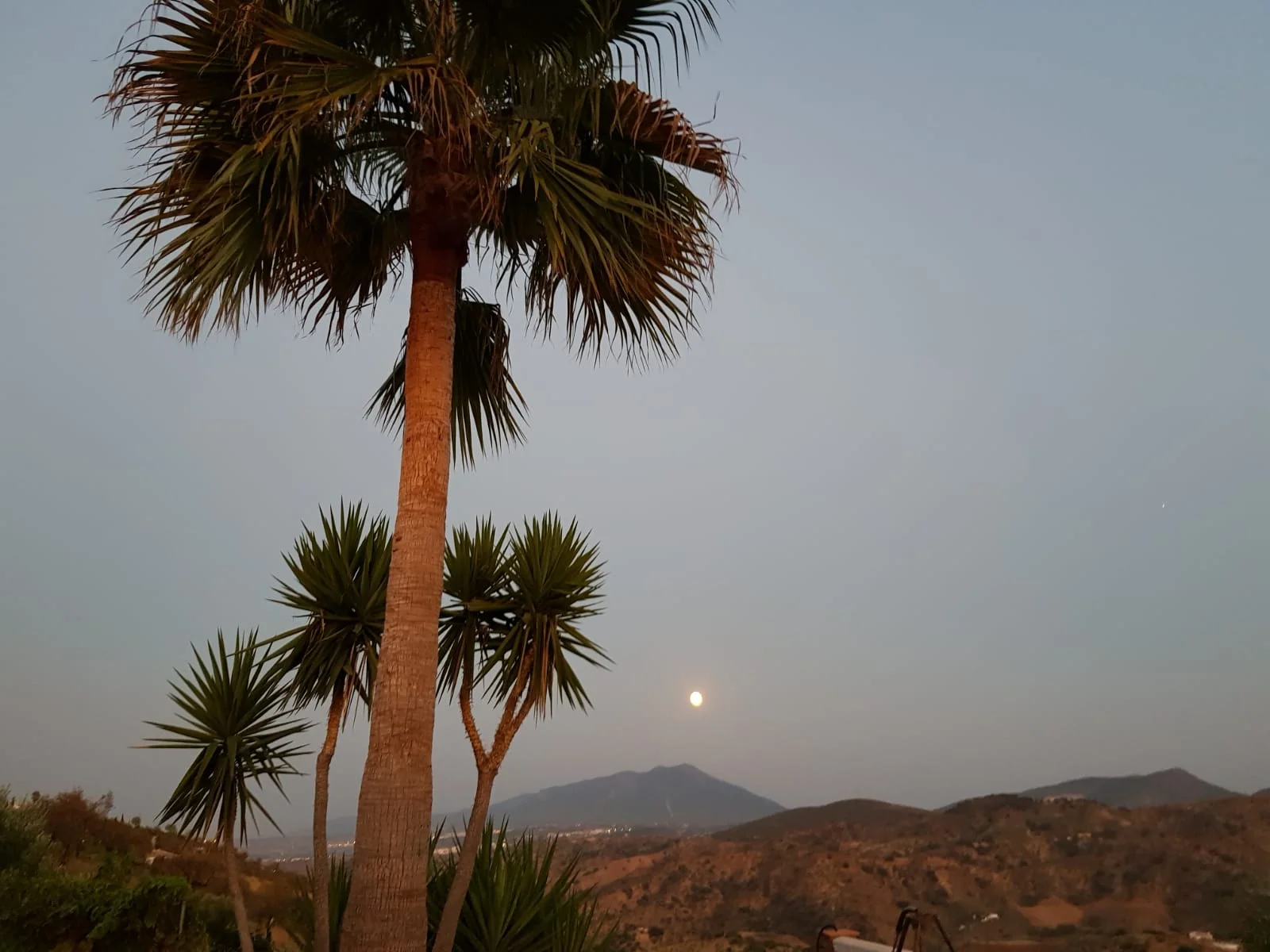 Buchlesung "Geheimnisse einer Psychotherapeutin"