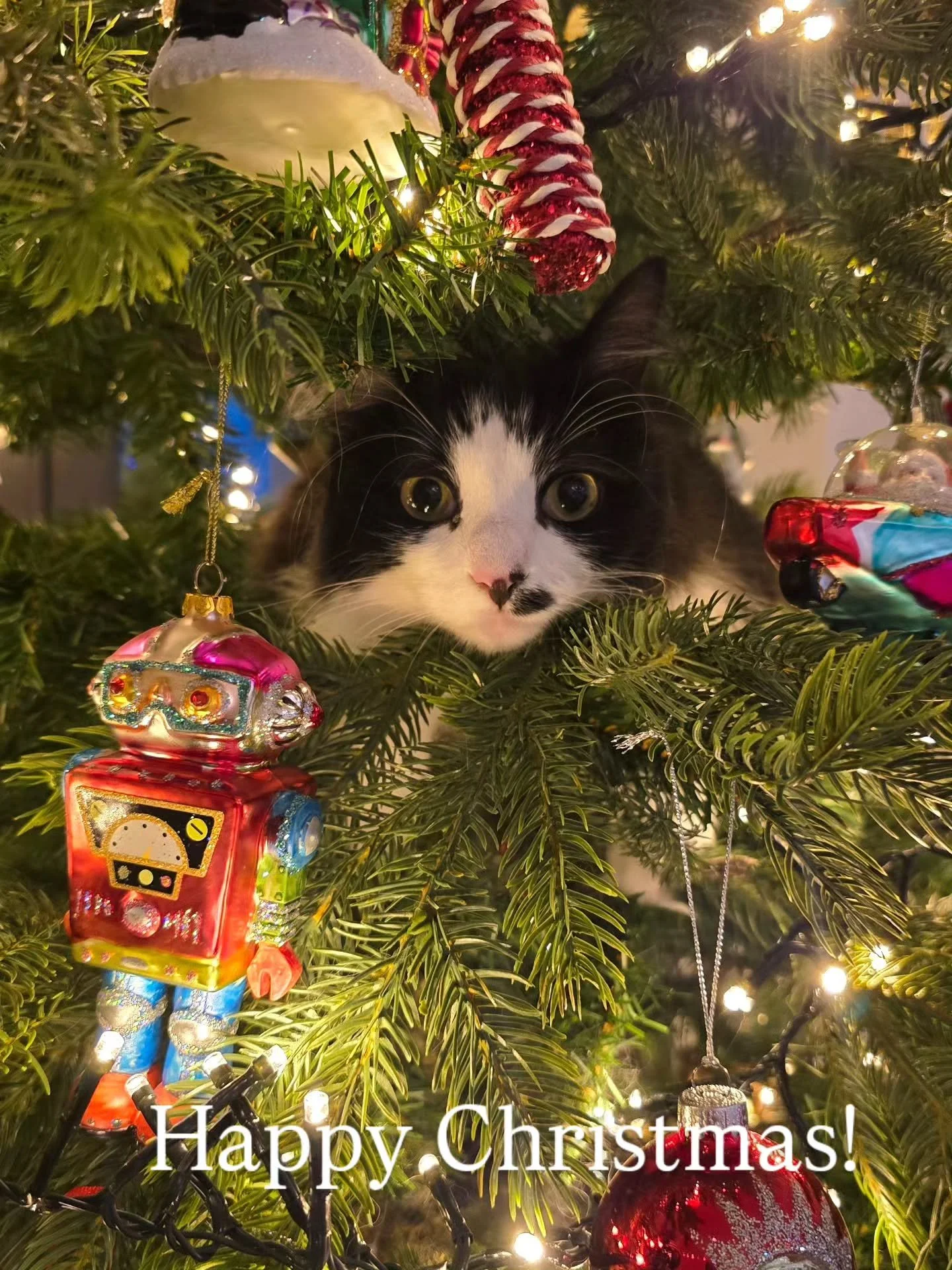 Happy Christmas to all our wonderful customers and followers! We're switching off for some much needed family time but we can't wait to catch up with you all in 2026!