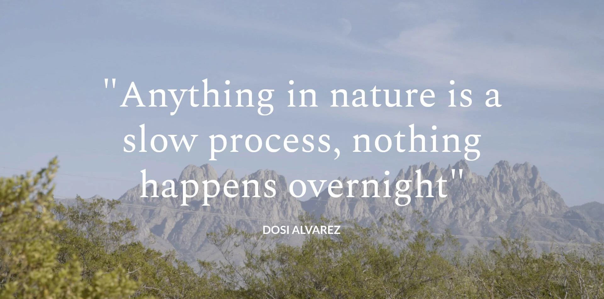 DOSI QUOTE WEBSITE.jpg