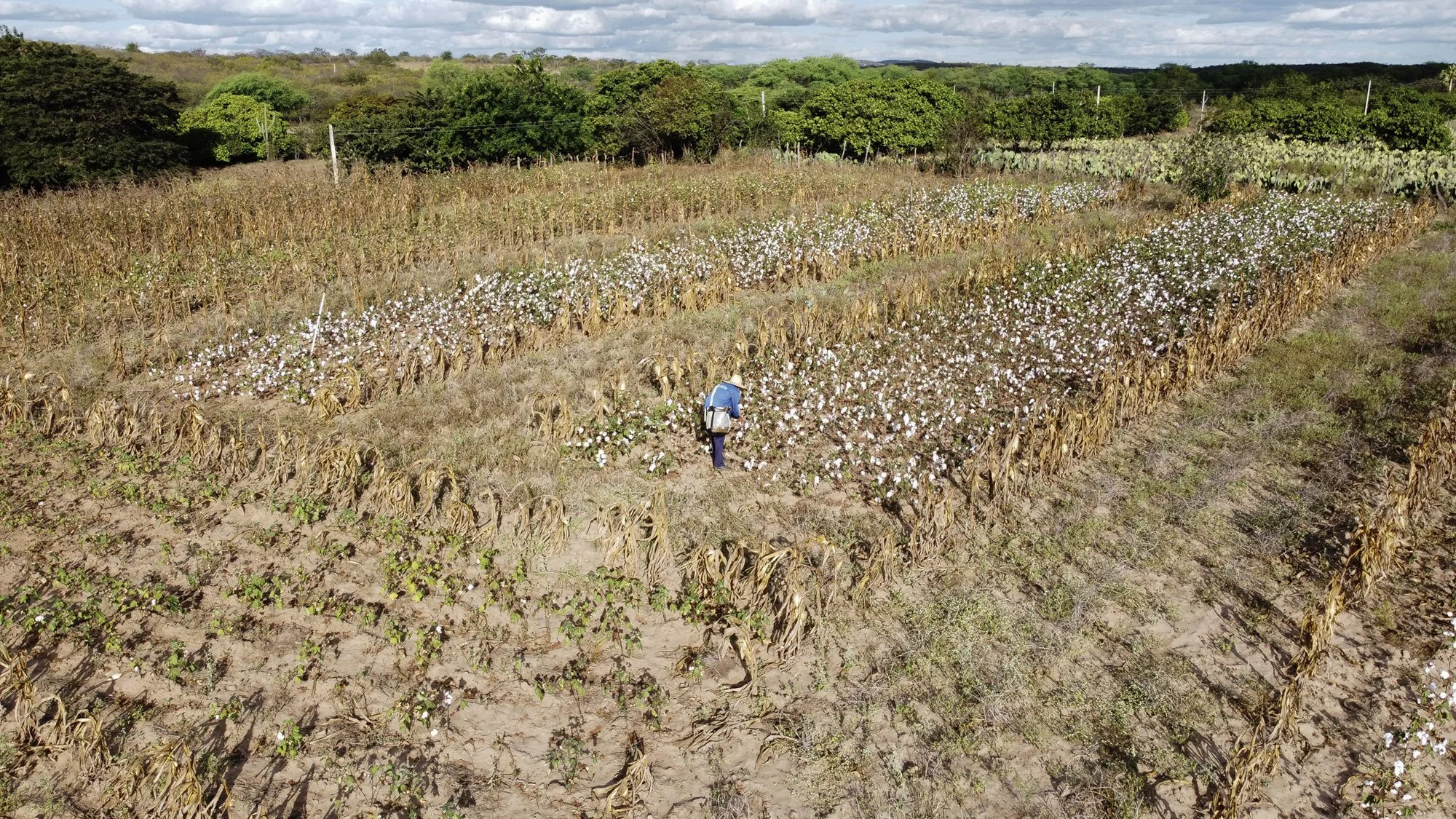 DJI_0953.jpg