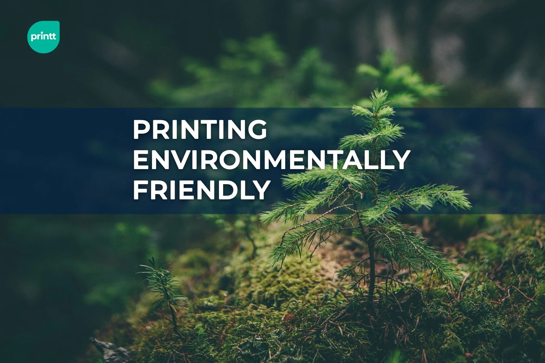 How to keep your printing environmentally friendly