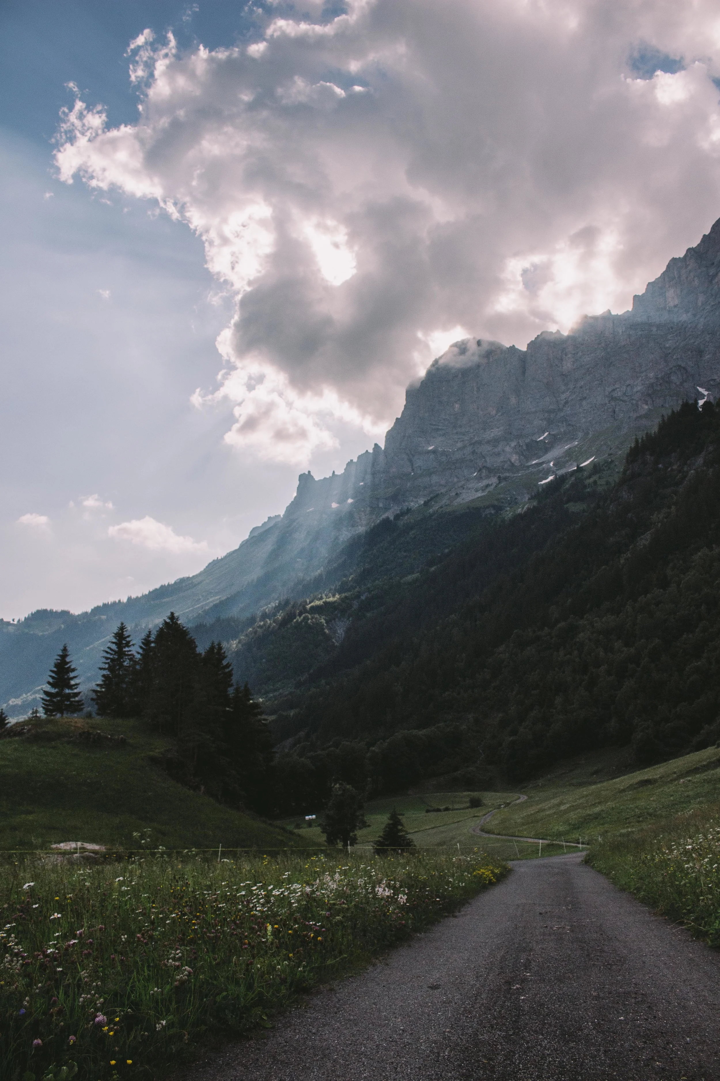 Van Zwitserland ... (1/3)